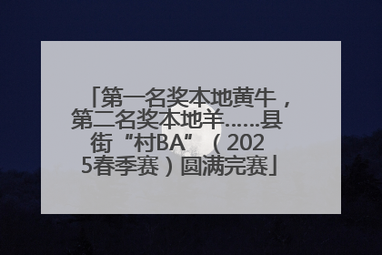第一名奖本地黄牛，第二名奖本地羊……县街“村BA”（2025春季赛）圆满完赛