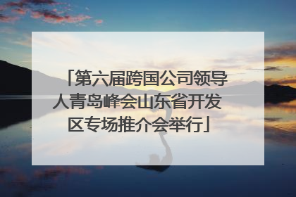 第六届跨国公司领导人青岛峰会山东省开发区专场推介会举行