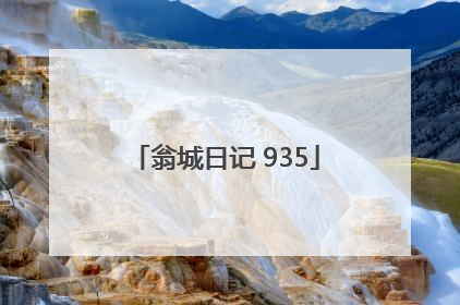 翁城日记 935