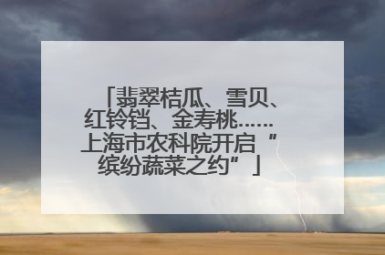 翡翠桔瓜、雪贝、红铃铛、金寿桃……上海市农科院开启“缤纷蔬菜之约”
