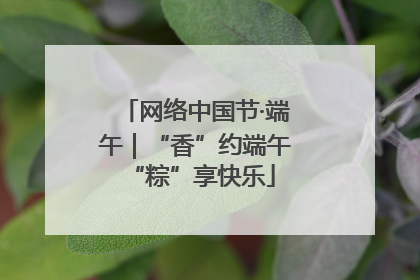 网络中国节·端午｜“香”约端午 “粽”享快乐
