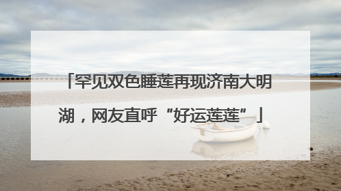 罕见双色睡莲再现济南大明湖，网友直呼“好运莲莲”
