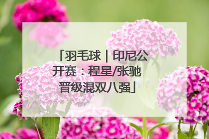 羽毛球｜印尼公开赛：程星/张驰晋级混双八强