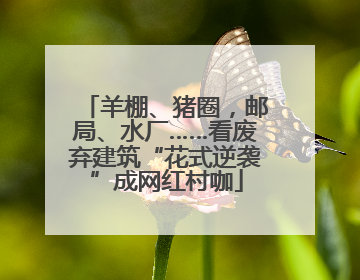 羊棚、猪圈，邮局、水厂……看废弃建筑“花式逆袭”成网红村咖