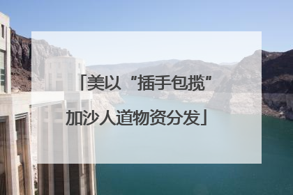 美以“插手包揽”加沙人道物资分发