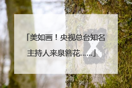 美如画！央视总台知名主持人来泉簪花……