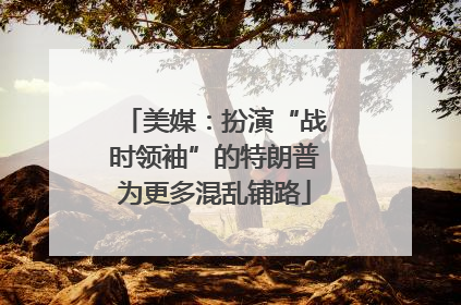 美媒：扮演“战时领袖”的特朗普为更多混乱铺路