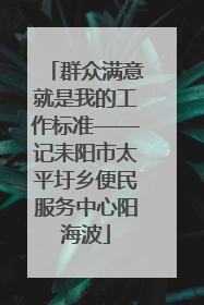 群众满意就是我的工作标准——记耒阳市太平圩乡便民服务中心阳海波