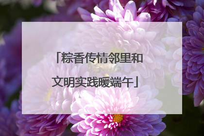 粽香传情邻里和 文明实践暖端午