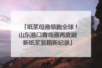 纸浆母港领跑全球！山东港口青岛港再度刷新纸浆装箱新纪录