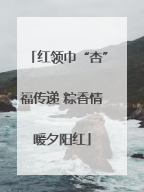 红领巾“杏”福传递 粽香情暖夕阳红