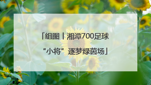组图丨湘潭700足球“小将”逐梦绿茵场