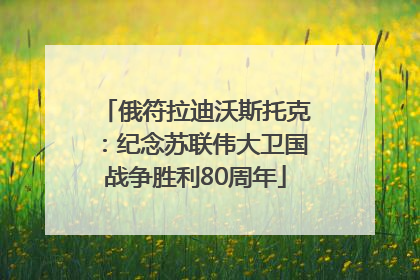 俄符拉迪沃斯托克：纪念苏联伟大卫国战争胜利80周年