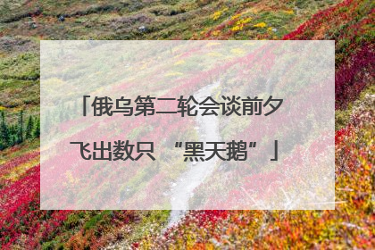 俄乌第二轮会谈前夕 飞出数只 “黑天鹅”