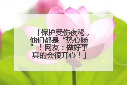 保护受伤夜鹭，他们都是“热心肠”！网友：做好事真的会很开心！