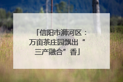 信阳市浉河区：万亩茶庄园飘出“三产融合”香