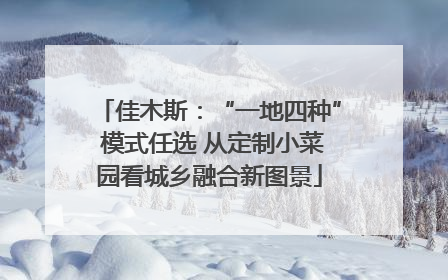 佳木斯：“一地四种” 模式任选 从定制小菜园看城乡融合新图景