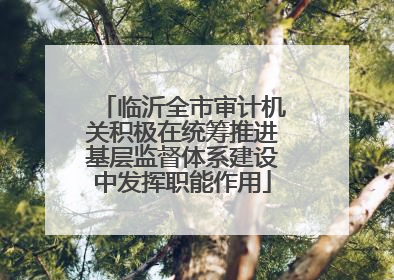 临沂全市审计机关积极在统筹推进基层监督体系建设中发挥职能作用