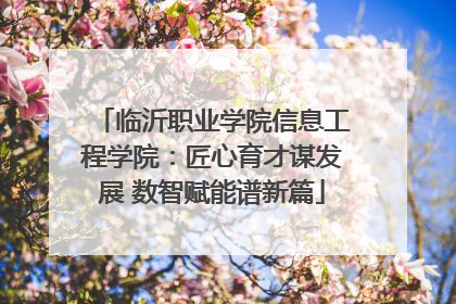 临沂职业学院信息工程学院：匠心育才谋发展 数智赋能谱新篇