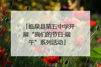 临泉县第五中学开展“我们的节日·端午”系列活动