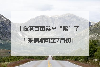 临港百亩桑葚“紫”了！采摘期可至7月初