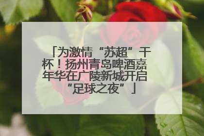 为激情“苏超”干杯！扬州青岛啤酒嘉年华在广陵新城开启“足球之夜”