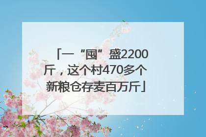 一“囤”盛2200斤，这个村470多个新粮仓存麦百万斤