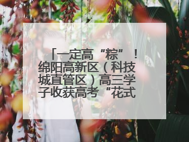 一定高“粽”！绵阳高新区（科技城直管区）高三学子收获高考“花式”祝福