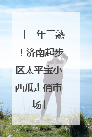 一年三熟！济南起步区太平宝小西瓜走俏市场