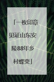 一枚印章见证山东安陵88年乡村蝶变