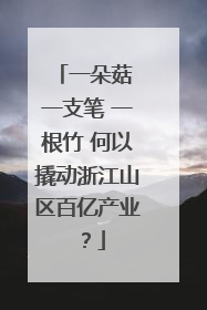 一朵菇 一支笔 一根竹 何以撬动浙江山区百亿产业？