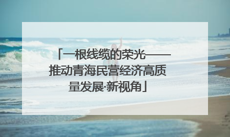 一根线缆的荣光——推动青海民营经济高质量发展·新视角
