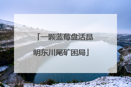 一颗蓝莓盘活昆明东川尾矿困局