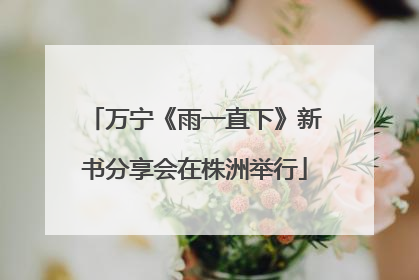 万宁《雨一直下》新书分享会在株洲举行