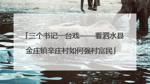 三个书记一台戏——看泗水县金庄镇辛庄村如何强村富民