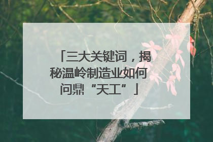 三大关键词，揭秘温岭制造业如何问鼎“天工”