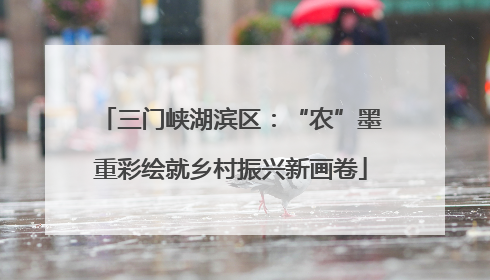三门峡湖滨区：“农”墨重彩绘就乡村振兴新画卷