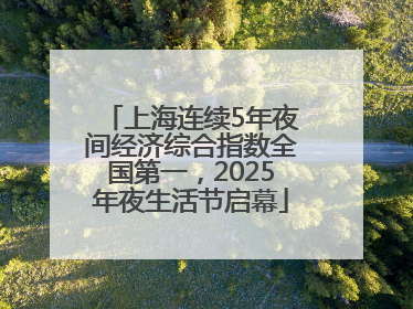 上海连续5年夜间经济综合指数全国第一，2025年夜生活节启幕