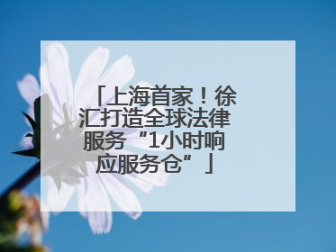 上海首家！徐汇打造全球法律服务“1小时响应服务仓”