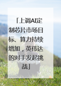 上调AI定制芯片市场目标、算力持续增加，英伟达的对手发起挑战