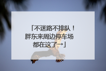不迷路不排队！胖东来周边停车场都在这了→
