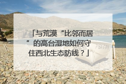 与荒漠“比邻而居”的高台湿地如何守住西北生态防线？