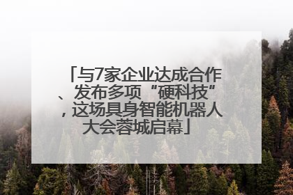 与7家企业达成合作、发布多项“硬科技”，这场具身智能机器人大会蓉城启幕