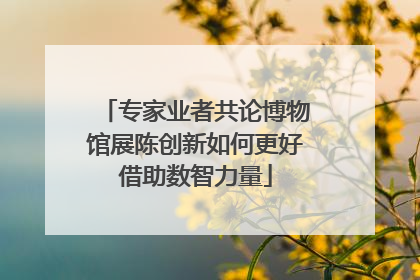 专家业者共论博物馆展陈创新如何更好借助数智力量