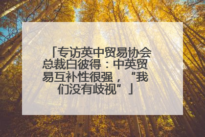 专访英中贸易协会总裁白彼得：中英贸易互补性很强，“我们没有歧视”