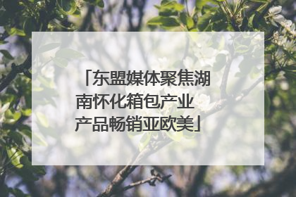 东盟媒体聚焦湖南怀化箱包产业 产品畅销亚欧美