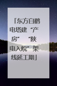 东方白鹳电塔建“产房” “陕电入皖”架线延工期