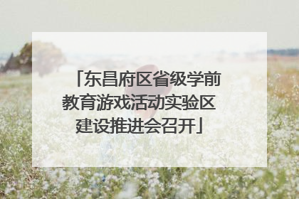 东昌府区省级学前教育游戏活动实验区建设推进会召开