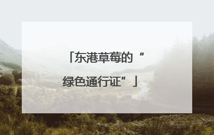 东港草莓的“绿色通行证”