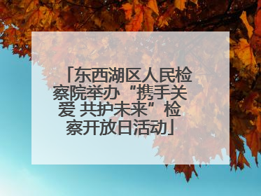 东西湖区人民检察院举办“携手关爱 共护未来”检察开放日活动